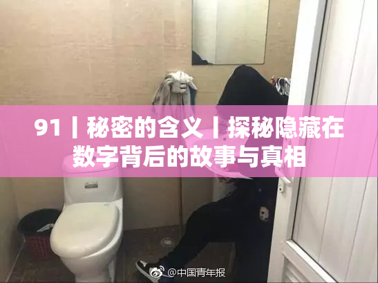 91丨秘密的含义丨探秘隐藏在数字背后的故事与真相