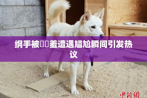 纲手被❌‌羞遭遇尴尬瞬间引发热议