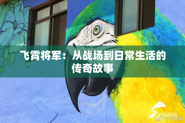 飞霄将军：从战场到日常生活的传奇故事