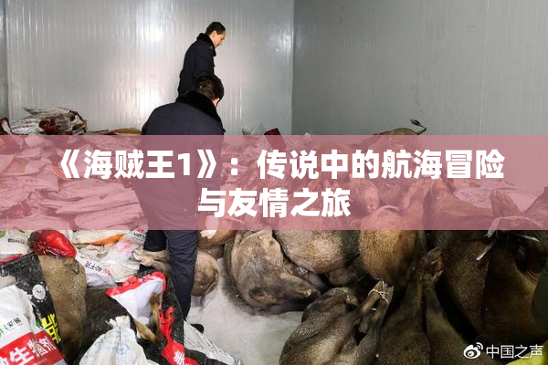 《海贼王1》：传说中的航海冒险与友情之旅