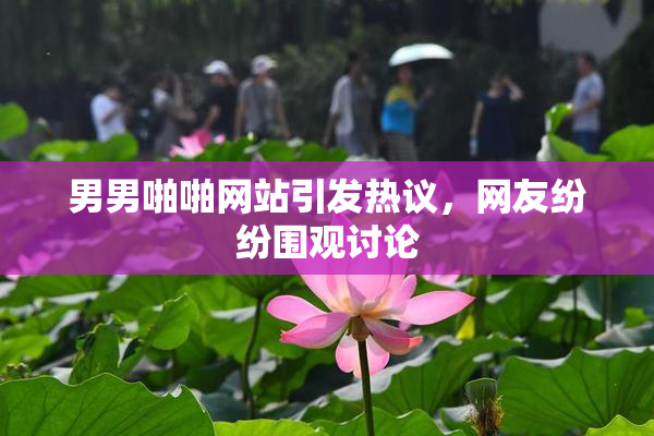 男男啪啪网站引发热议，网友纷纷围观讨论