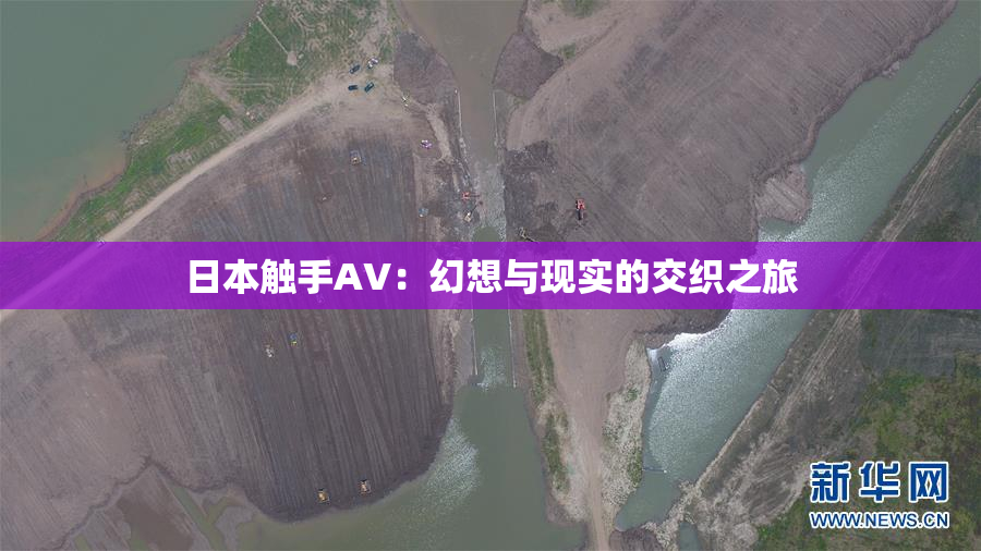 日本触手AV：幻想与现实的交织之旅