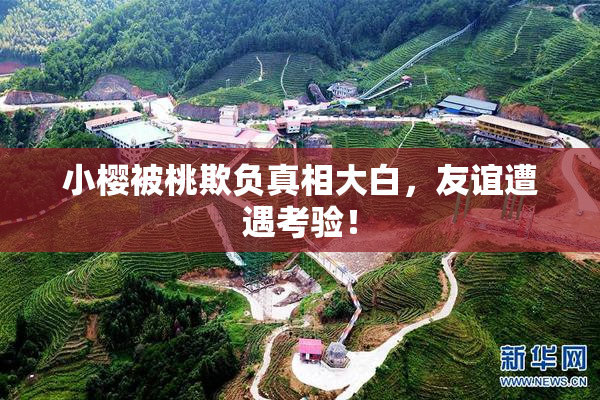 小樱被桃欺负真相大白，友谊遭遇考验！
