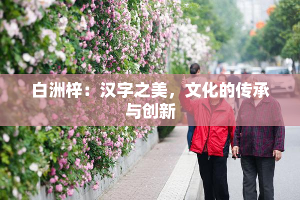 白洲梓：汉字之美，文化的传承与创新