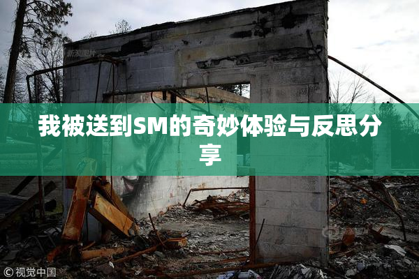 我被送到SM的奇妙体验与反思分享