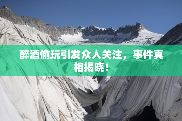 醉酒偷玩引发众人关注，事件真相揭晓！