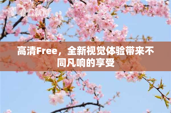 高清Free，全新视觉体验带来不同凡响的享受
