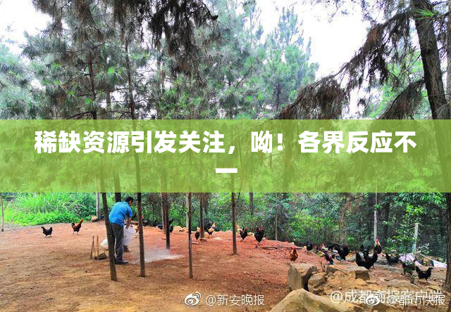 稀缺资源引发关注，呦！各界反应不一