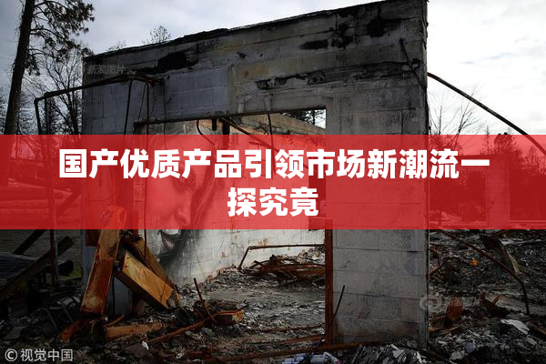国产优质产品引领市场新潮流一探究竟