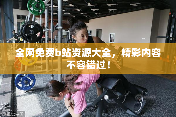全网免费b站资源大全，精彩内容不容错过！