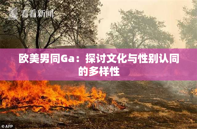 欧美男同Ga：探讨文化与性别认同的多样性