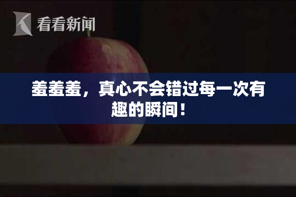 羞羞羞，真心不会错过每一次有趣的瞬间！