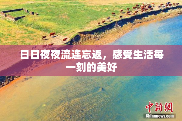 日日夜夜流连忘返，感受生活每一刻的美好