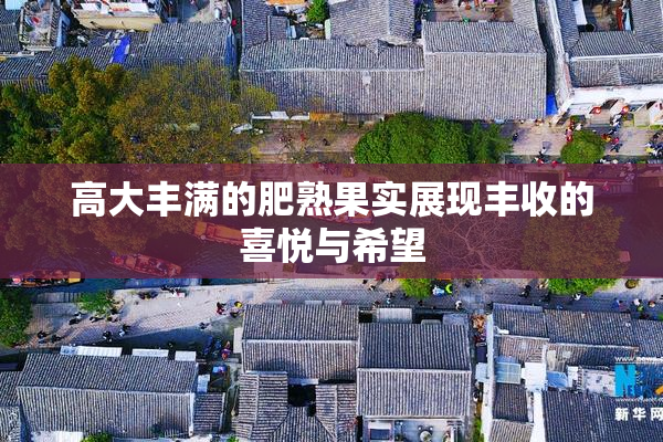 高大丰满的肥熟果实展现丰收的喜悦与希望