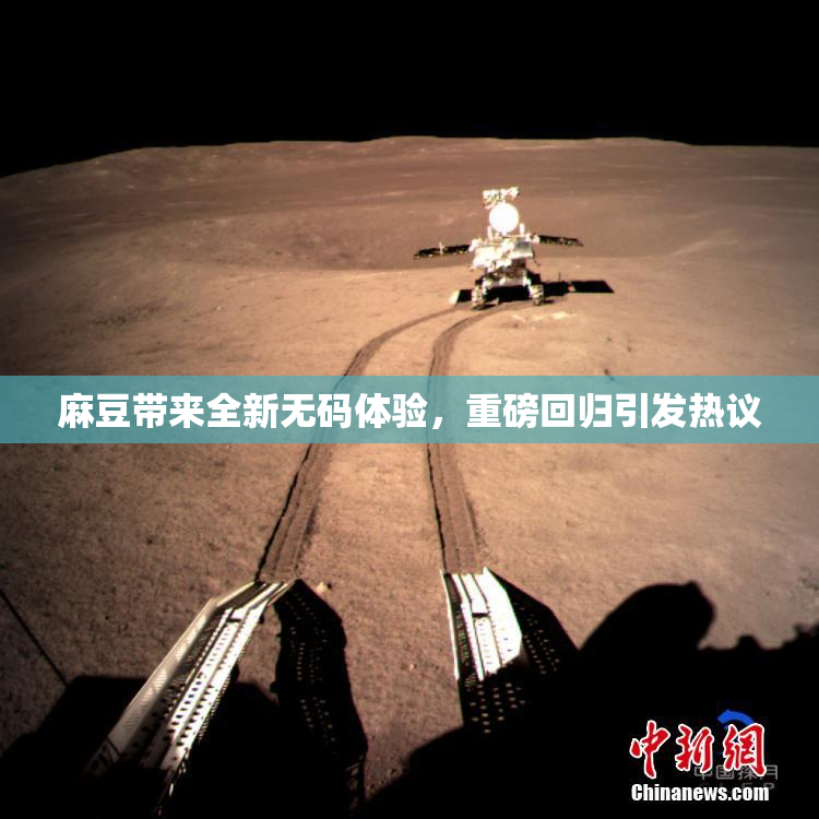 麻豆带来全新无码体验，重磅回归引发热议