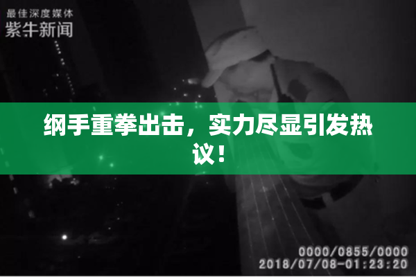 纲手重拳出击，实力尽显引发热议！