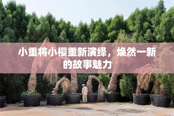 小重将小樱重新演绎，焕然一新的故事魅力
