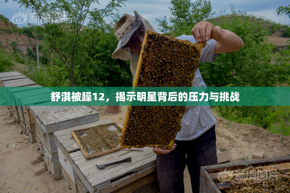 舒淇被躁12，揭示明星背后的压力与挑战