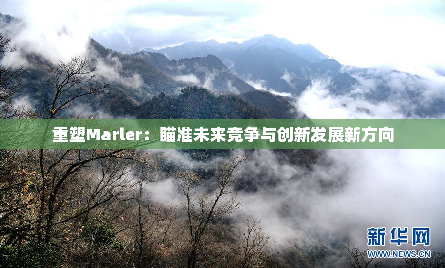 重塑Marler：瞄准未来竞争与创新发展新方向