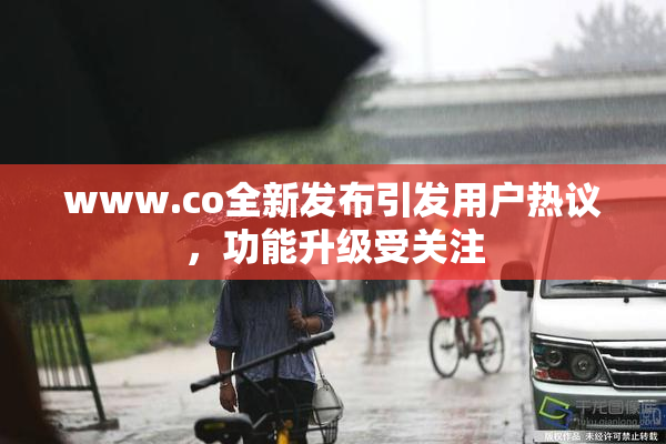 www.co全新发布引发用户热议，功能升级受关注