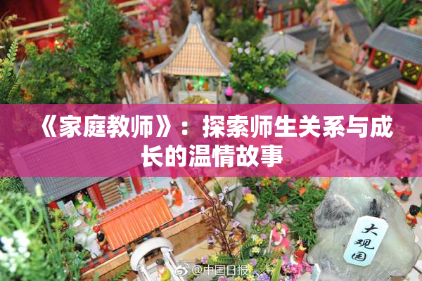 《家庭教师》：探索师生关系与成长的温情故事