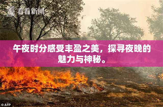 午夜时分感受丰盈之美，探寻夜晚的魅力与神秘。