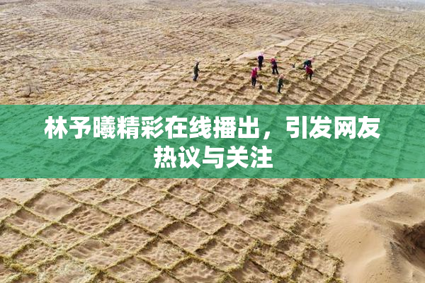 林予曦精彩在线播出，引发网友热议与关注