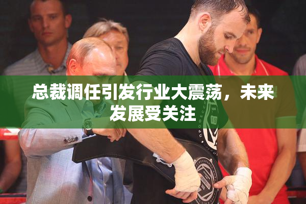 总裁调任引发行业大震荡，未来发展受关注