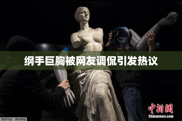 纲手巨胸被网友调侃引发热议
