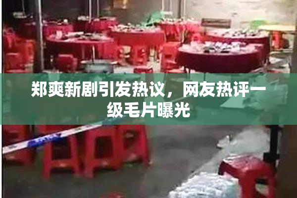 郑爽新剧引发热议，网友热评一级毛片曝光