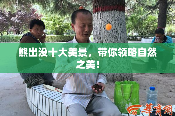 熊出没十大美景，带你领略自然之美！