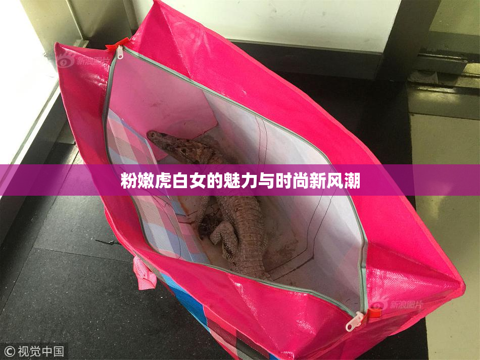 粉嫩虎白女的魅力与时尚新风潮