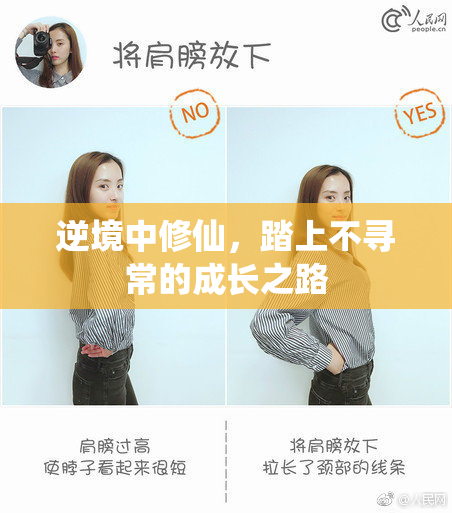 逆境中修仙，踏上不寻常的成长之路