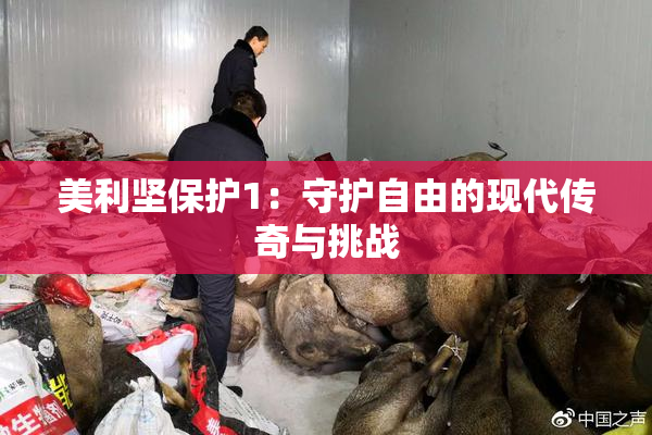 美利坚保护1：守护自由的现代传奇与挑战