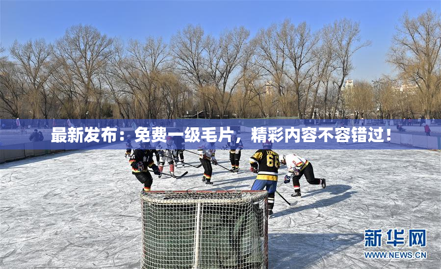 最新发布：免费一级毛片，精彩内容不容错过！