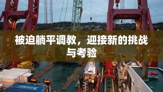 被迫躺平调教，迎接新的挑战与考验