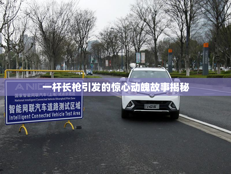 一杆长枪引发的惊心动魄故事揭秘