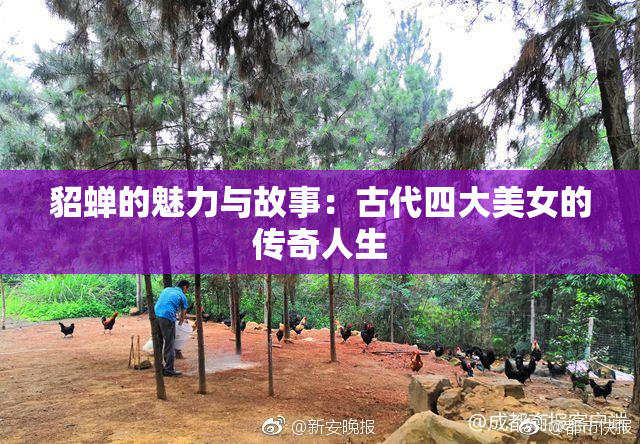 貂蝉的魅力与故事：古代四大美女的传奇人生