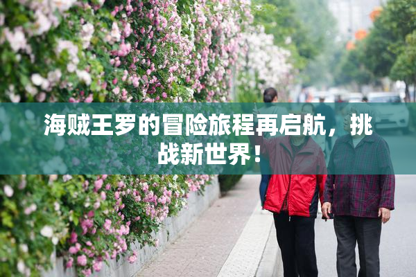 海贼王罗的冒险旅程再启航，挑战新世界！
