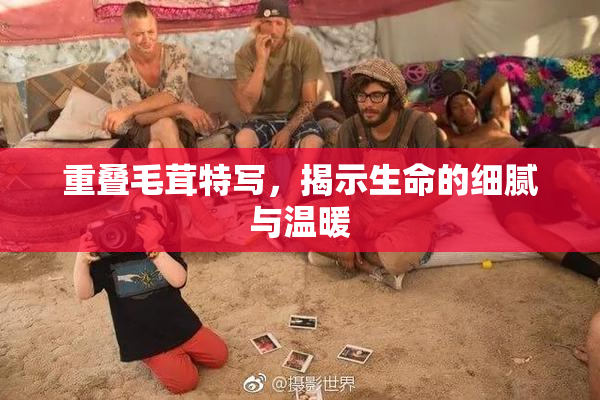 重叠毛茸特写，揭示生命的细腻与温暖