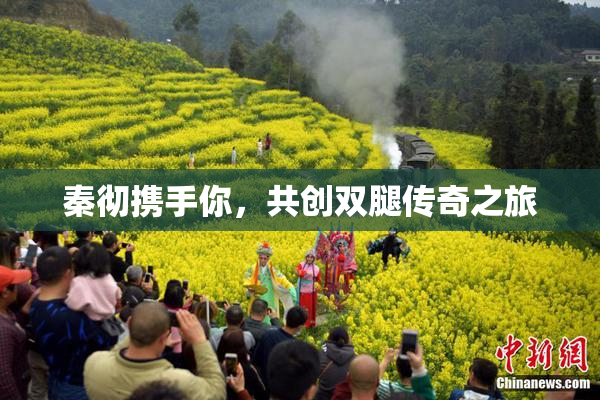 秦彻携手你，共创双腿传奇之旅