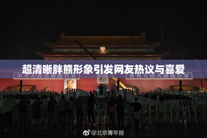 超清晰胖熊形象引发网友热议与喜爱