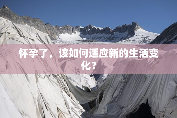 怀孕了，该如何适应新的生活变化？