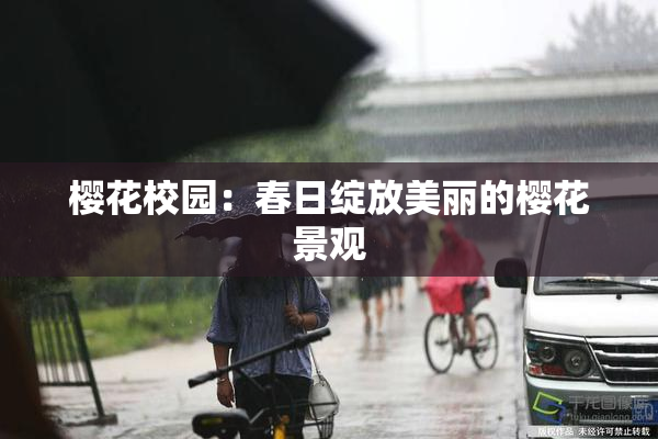 樱花校园：春日绽放美丽的樱花景观