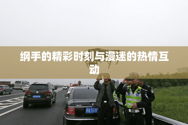 纲手的精彩时刻与漫迷的热情互动