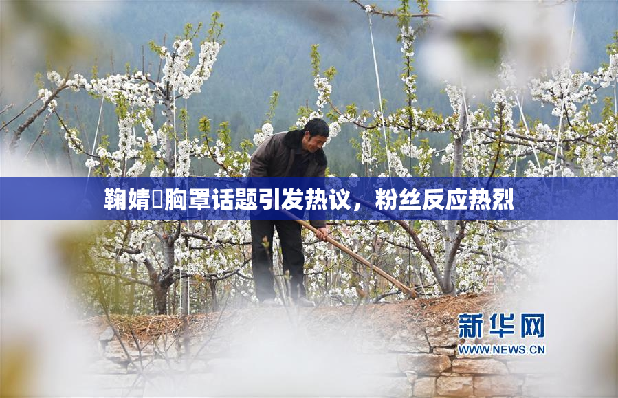 鞠婧祎胸罩话题引发热议，粉丝反应热烈