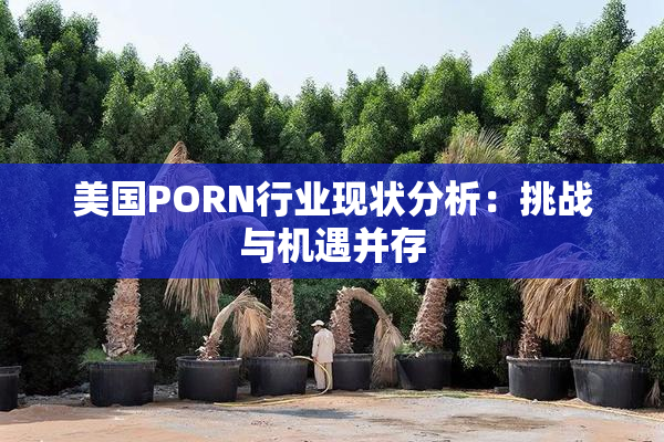 美国PORN行业现状分析：挑战与机遇并存