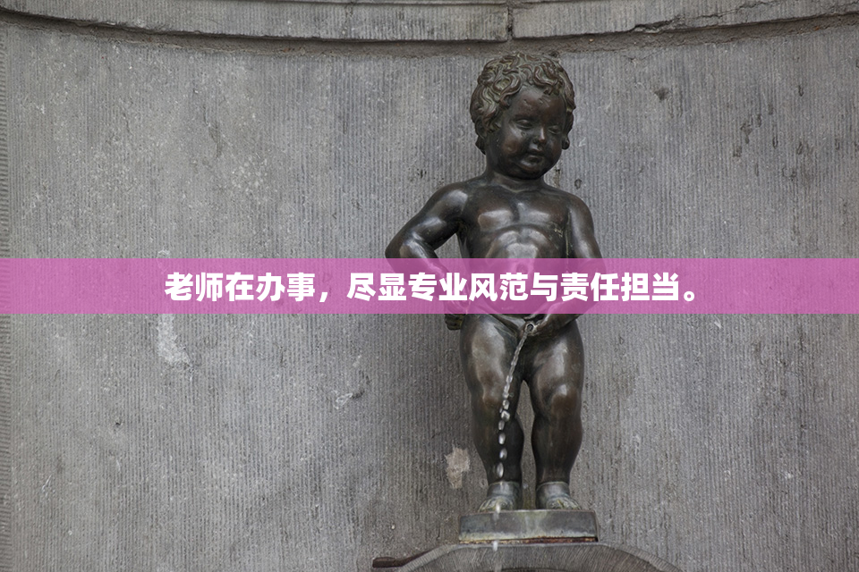 老师在办事，尽显专业风范与责任担当。