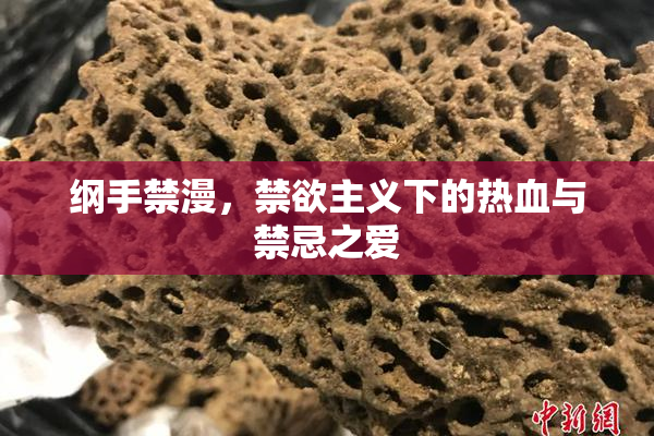 纲手禁漫，禁欲主义下的热血与禁忌之爱