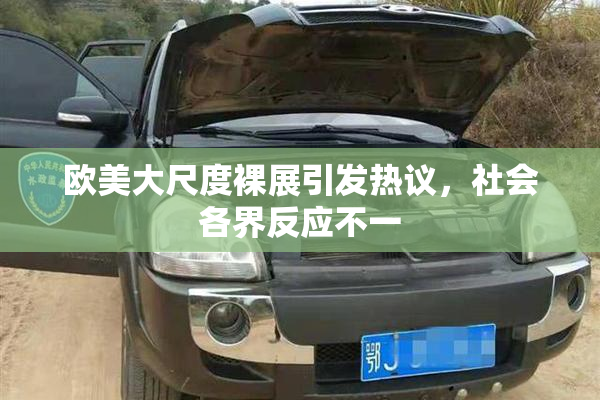 欧美大尺度裸展引发热议，社会各界反应不一
